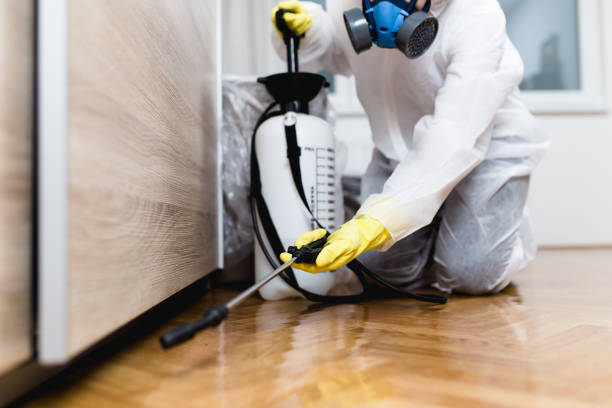 Best Rat Extermination Near Me  in Chauvin, LA