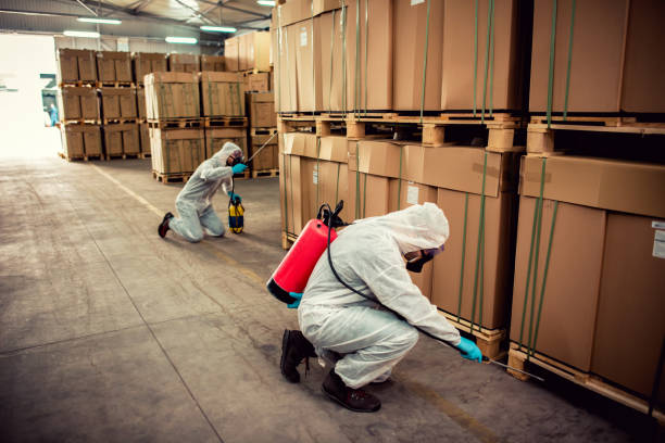 Best Exterminator Services  in Chauvin, LA