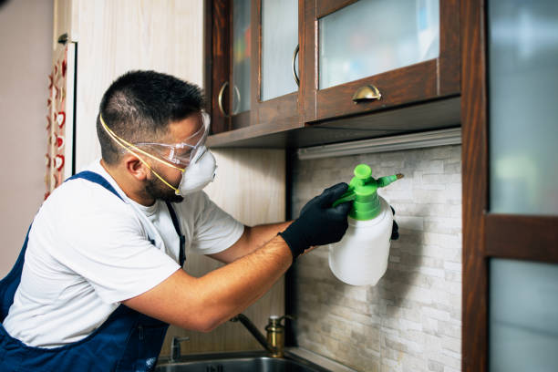 Best Pest Prevention Services  in Chauvin, LA