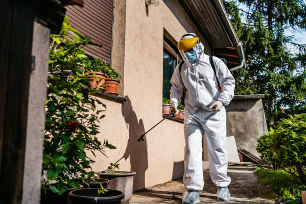 Best Exterminator Services  in Chauvin, LA