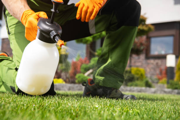 Professional Pest Control in Chauvin, LA