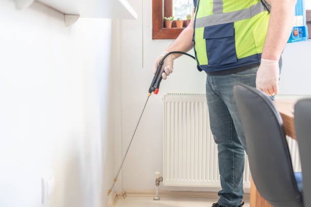 Best Termite Control Services  in Chauvin, LA