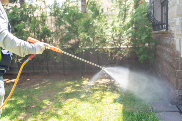 Pest Prevention Services in Chauvin, LA