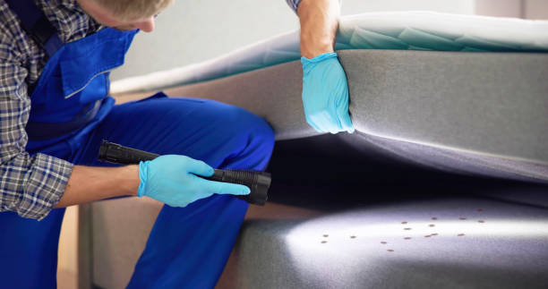 Best Pest Prevention Services  in Chauvin, LA
