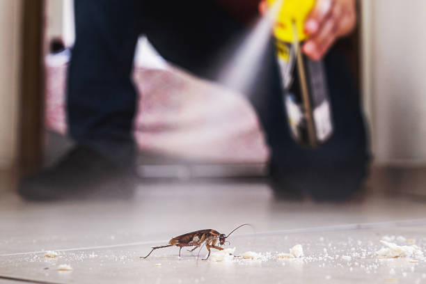 Best Residential Pest Control  in Chauvin, LA