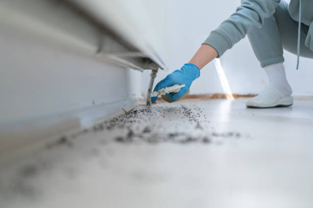 Best Commercial Pest Control Services  in Chauvin, LA