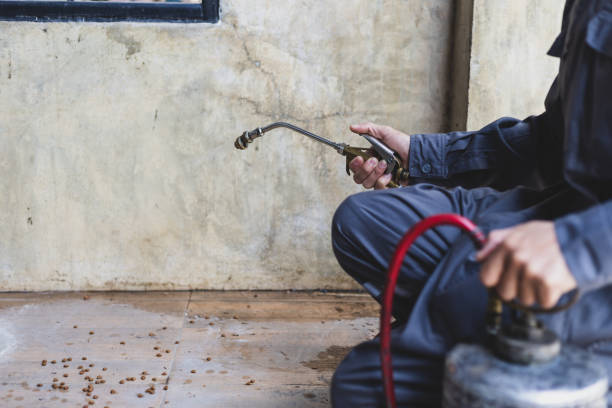 Best Emergency Pest Control  in Chauvin, LA